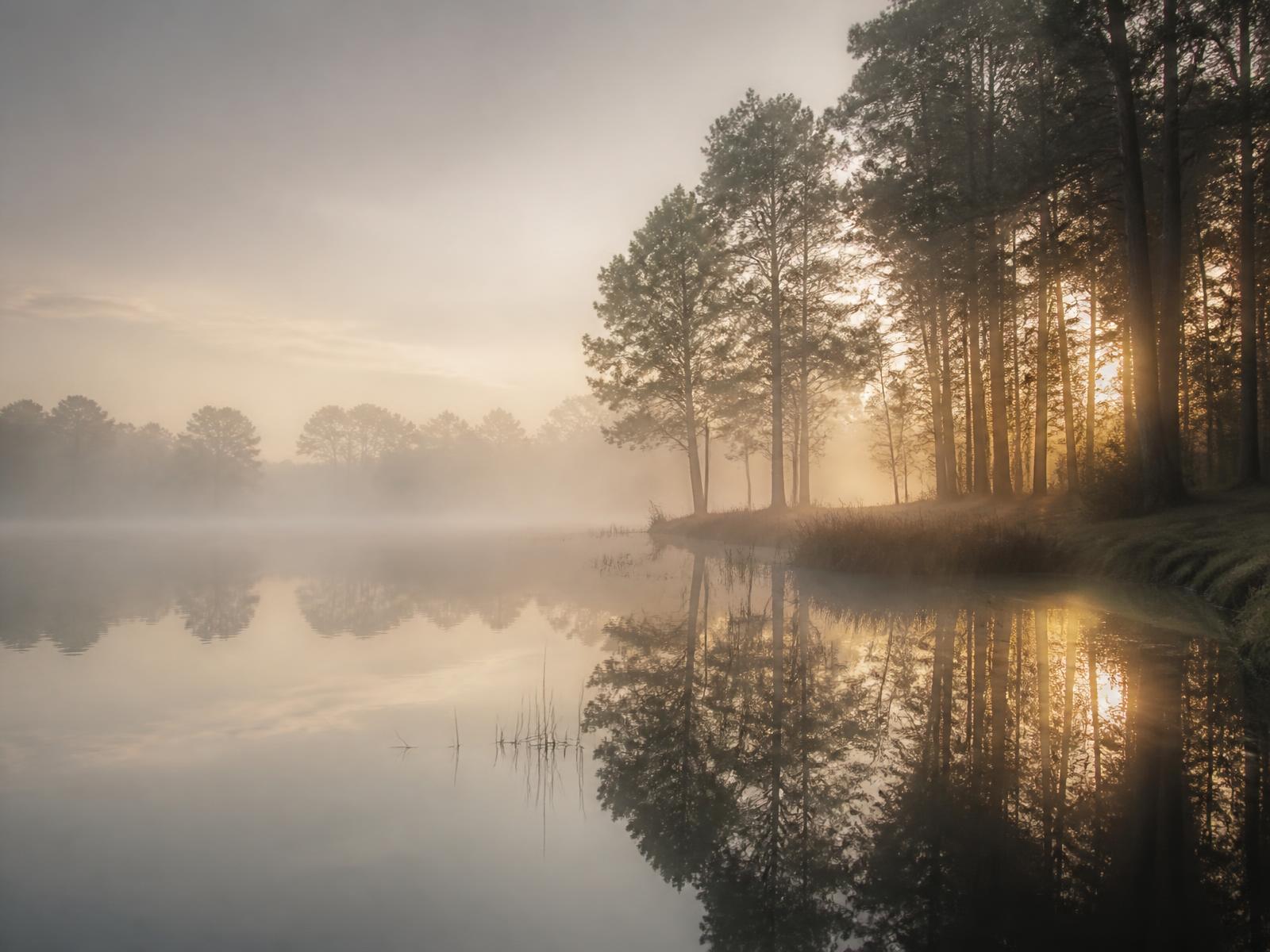 Misty dawn over a still lake, a calm place of remembrance